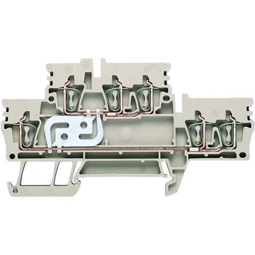 Weidmüller 1924490000 Doppelstockklemme Zugfeder Dunkelbeige 50 St.