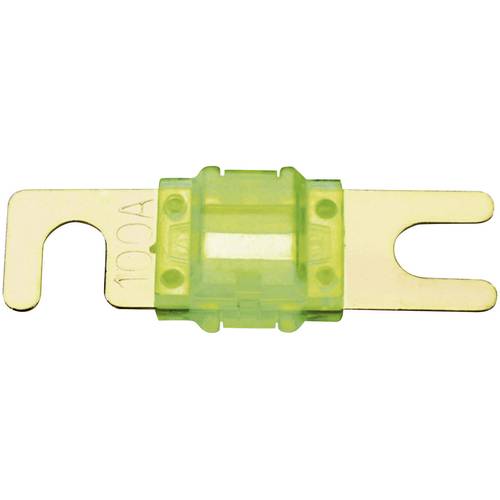 Sinuslive Car-HiFi ANL Sicherung 100 A 1 St.