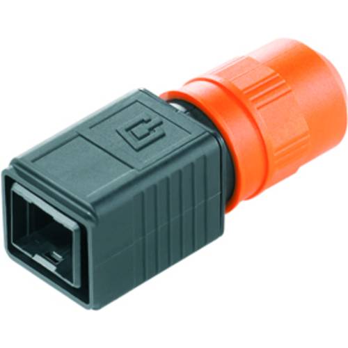 Weidmüller 1962520000 Sensor-/Aktor-Steckverbinder, unkonfektioniert RJ45 Steckergehäuse 10 St.