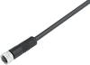 binder 79 3808 45 08 Sensor-/Aktor-Steckverbinder, konfektioniert M8 Buchse, gerade 5.00 m Polzahl Sensoren: 8 1 St.