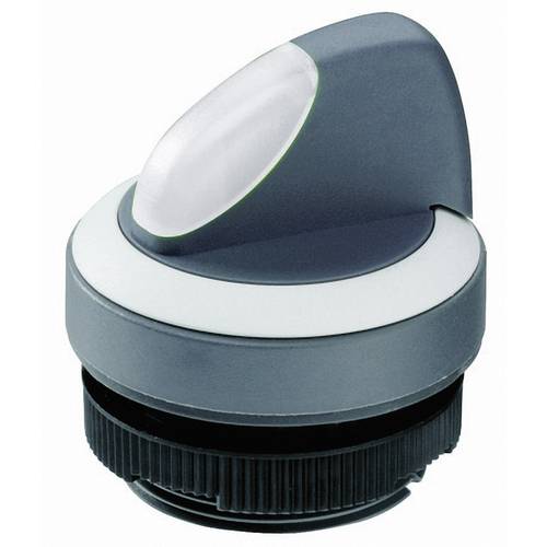 RAFI 1.30.272.102/2200 RAFIX 22 FS+ 1.30.272.102/2200 Wahltaste Schwarz 1 x 90 ° 1 St.