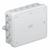 OBO Bettermann 2000410-G Abzweigkasten (L x B x H) 125 x 100 x 40 mm Lichtgrau (RAL 7035) IP55 1 St.