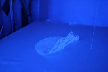 3d Drucker Kalibrieren Richtig Einstellen Einfach Erklart