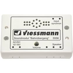 Viessmann 5556