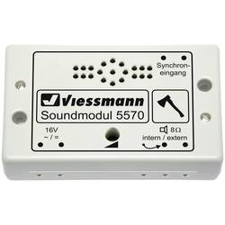 Viessmann 5570