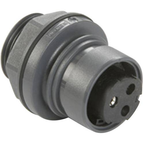 Bulgin PXP6012/03P/ST Rundstecker Stecker, Einbau Gesamtpolzahl: 3 Serie (Rundsteckverbinder): PXP 1 St.