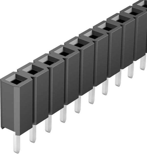Fischer Elektronik Buchsenleiste (Standard) Anzahl Reihen: 1 Polzahl je Reihe: 36 10026996 1 St.