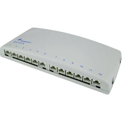 Telegärtner J02022A0052 12 Port Netzwerk-Patchpanel  CAT 6a 1 HE 