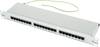 Telegärtner J02023B0017 24 Port Netzwerk-Patchpanel 483 mm (19") CAT 5e 1 HE Grau Bestückt