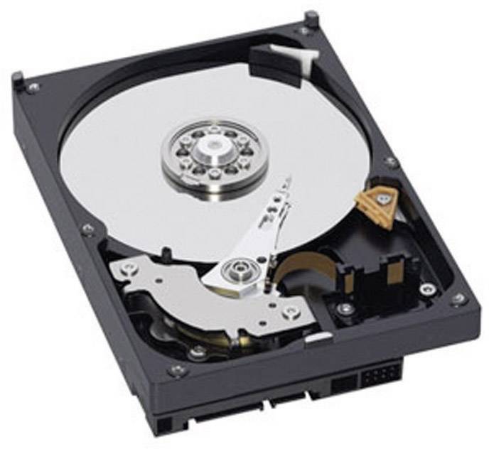Ein geöffneter Computer-Festplattenlaufwerk zeigt die glänzende Metallscheibe (Platte) und den Lese-/Schreibarm im Inneren.