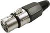 Cliff FC6140 XLR-Steckverbinder Buchse, gerade Polzahl: 3 Silber 1 St.