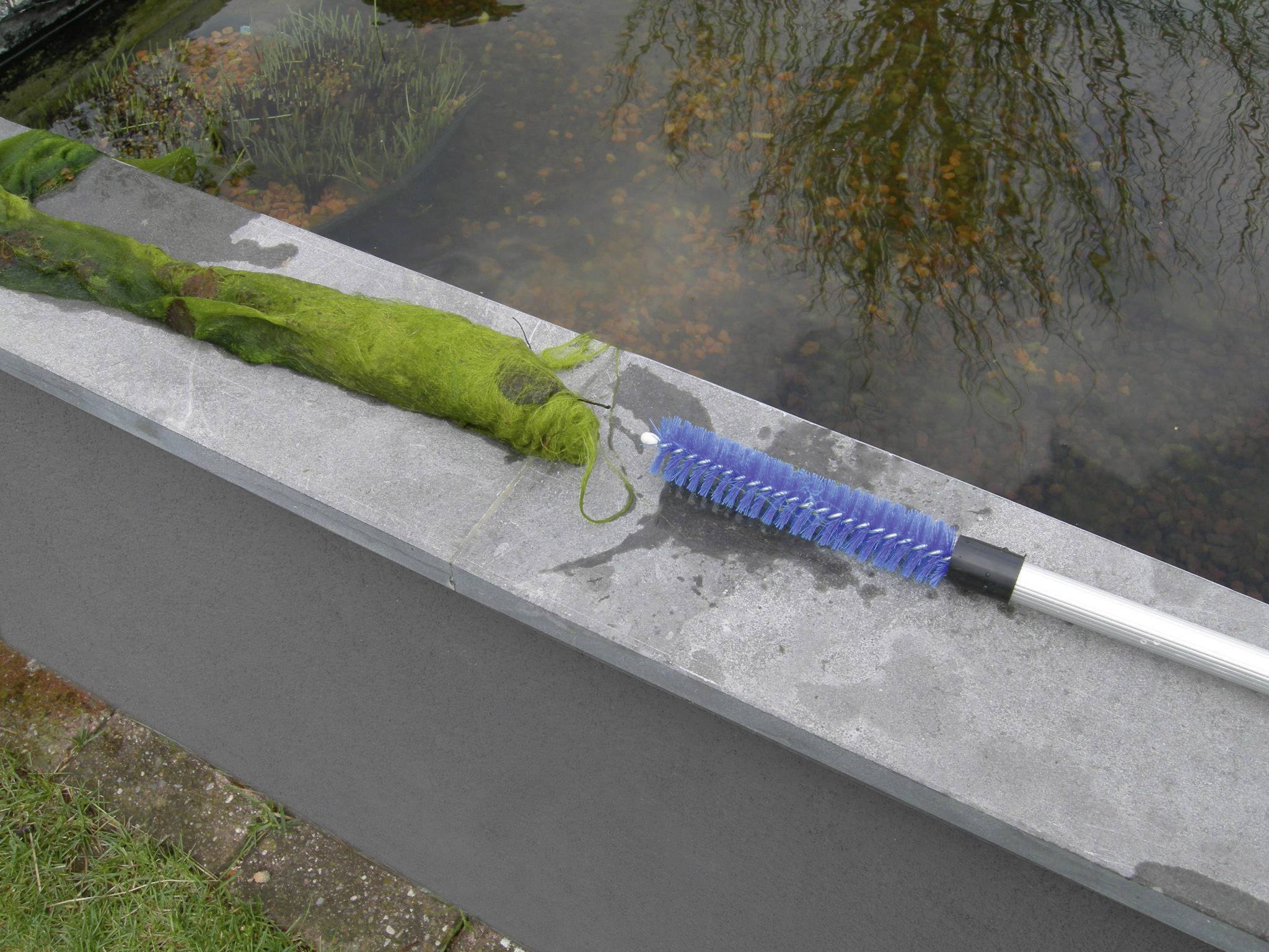 Ein Algennetz voll Algen liegt über den Rand eines Teiches. Daneben liegt eine Reinigungsbürste mit blauem Bürstenkopf.