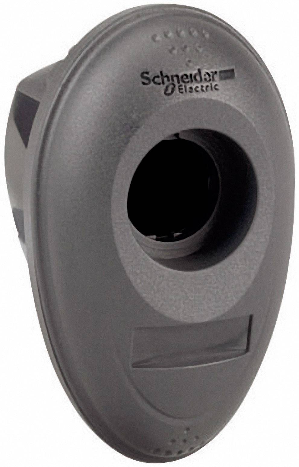 Schneider Electric ZBRM01 ZBRM01 Leergehäuse 1 Einbaustelle Dark-Grey 1 St.