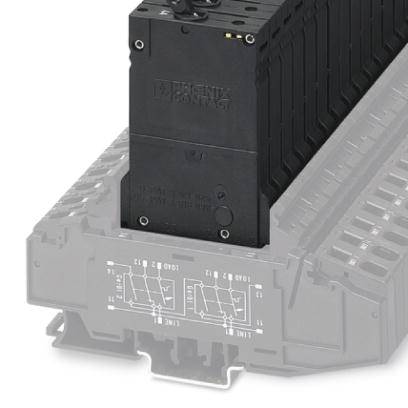 Phoenix Contact 0915768 TMCP 1 M1 300 2,0A Beveiligingsschakelaar 250 V/AC 2 A 6 stuk(s)