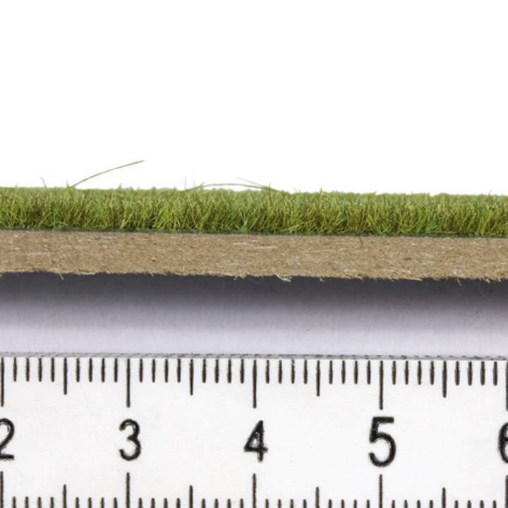 Lineal vor einem Querschnitt eines Grasstücks, zeigt etwa zwei Zentimeter dicken Erdboden mit darauf wachsendem Gras.