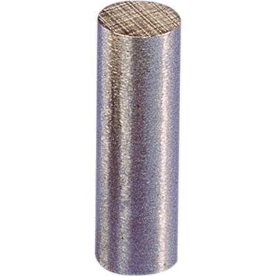   Permanent-Magnet Stab (Ø x L) 6 mm x 24 mm AlNiCo  1.25 T (max)  