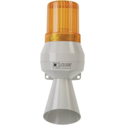 Auer Signalgeräte Kombi-Signalgeber KLF Orange Blitzlicht, Einzelton 24  V/DC kaufen