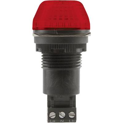Auer Signalgeräte Signalleuchte LED IBS 800502404 Rot Rot Dauerlicht, Blinklicht 12 V/DC, 12 V/AC 