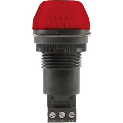 Auer Signalgeräte Signalleuchte LED IBS 800502405 Rot Rot Dauerlicht, Blinklicht 24 V/DC, 24 V/AC 