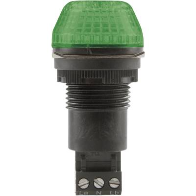 Auer Signalgeräte Signalleuchte LED IBS 800506313 Grün Grün Dauerlicht, Blinklicht 230 V/AC 