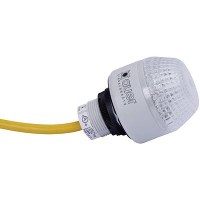 Auer Signalgeräte Signalleuchte LED IMM 801550405 Rot, Gelb, Grün  Dauerlicht 24 V/DC, 24 V/AC 