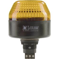 Image of Auer Signalgeräte Signalleuchte LED IBL 802501405 Orange Dauerlicht, Blinklicht 24 V/DC, 24 V/AC