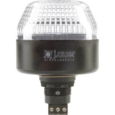 Auer Signalgeräte Signalleuchte LED IBL 802504405 Klar  Dauerlicht, Blinklicht 24 V/DC, 24 V/AC 
