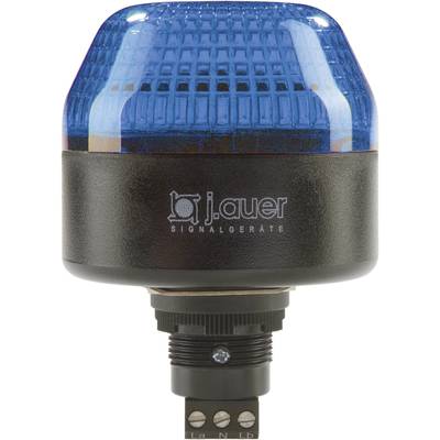 Auer Signalgeräte Signalleuchte LED IBL 802505313 Blau  Dauerlicht, Blinklicht 230 V/AC 