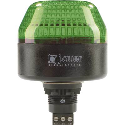 Auer Signalgeräte Signalleuchte LED IBL 802506313 Grün  Dauerlicht, Blinklicht 230 V/AC 