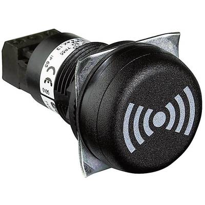 Auer Signalgeräte Signalsummer  812510405 ESV  Dauerton, Pulston 12 V/DC, 12 V/AC, 24 V/DC, 24 V/AC 85 dB