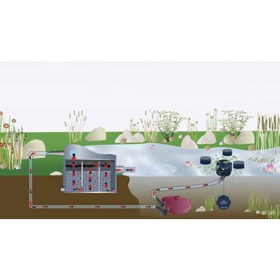 Schematische Darstellung eines Teichfiltersystems: Wasser wird durch ein Filtersystem geleitet und sauber zurück in einen Gartenteich gepumpt.