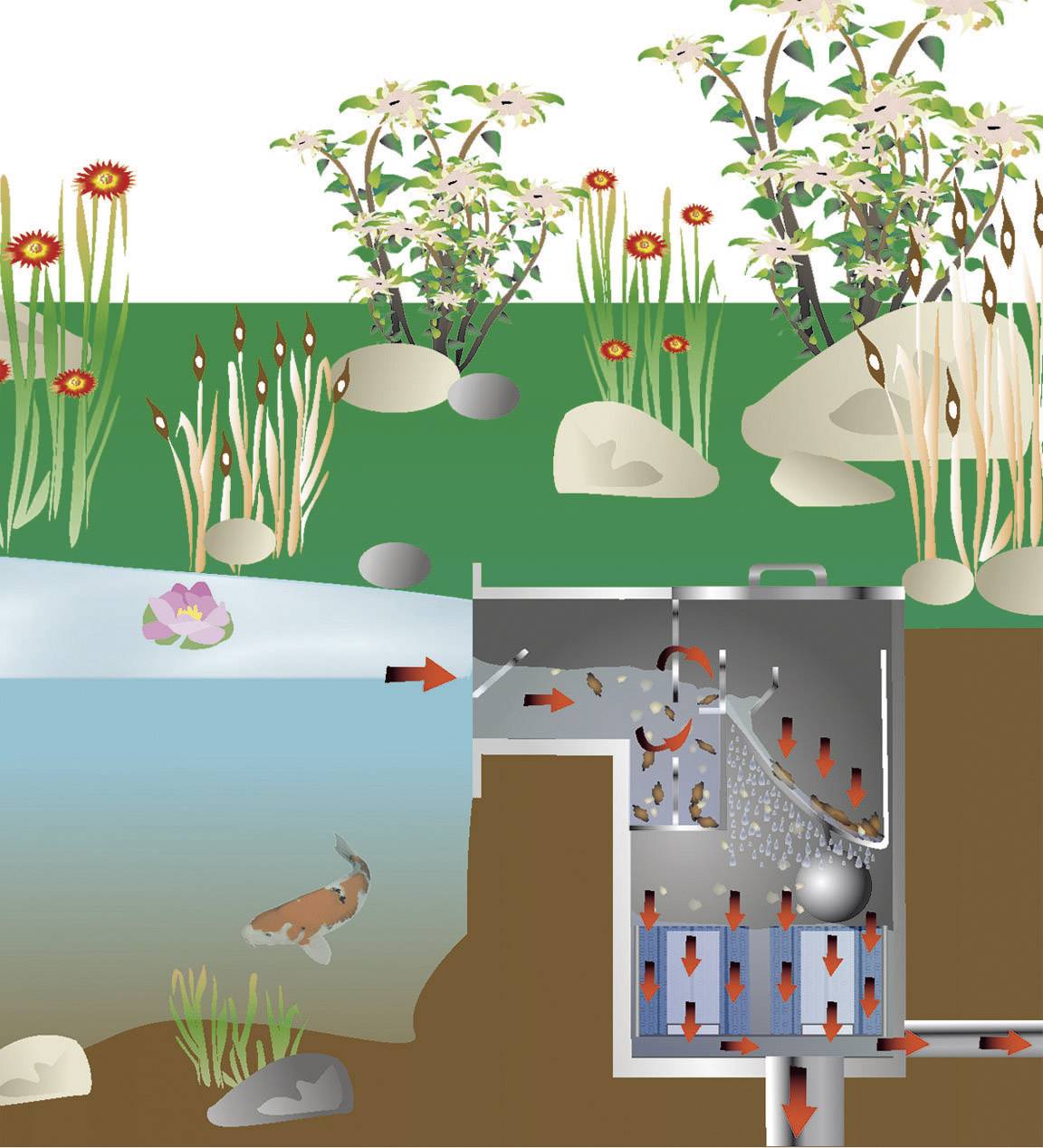 Schematische Darstellung eines Teichfiltersystems mit Wasserfluss vom Teich durch den Filter. Pflanzen und Fische im Teich sichtbar.