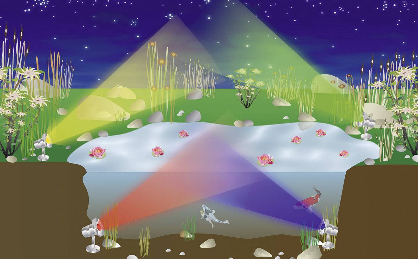 Ein Teich bei Nacht mit verschiedenen Lichtstrahlen. Der Teich ist von Pflanzen umgeben, und Fische schwimmen im Wasser.