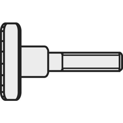 TOOLCRAFT M3*12 D464-5.8:A2K 194770 Rändelschrauben M3 12 mm  DIN 464   Stahl galvanisch verzinkt 10 St.