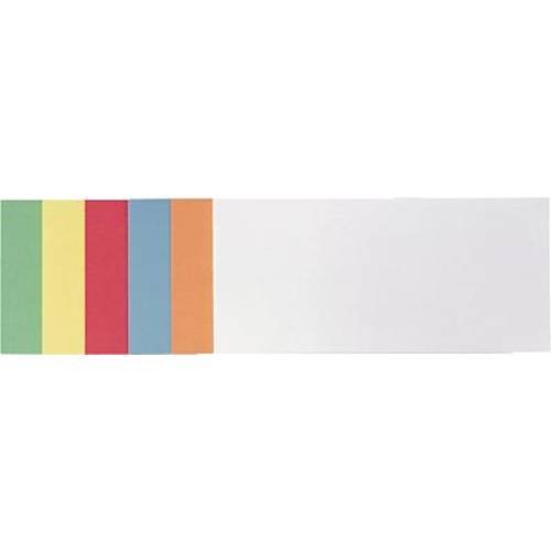 Franken Moderationskarte farbig sortiert rechteckig 9.5 cm x 20.5 cm 300 St.
