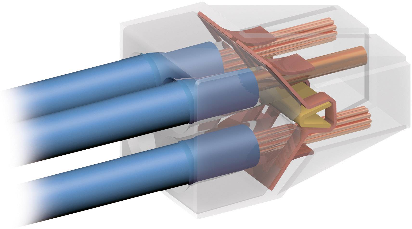 Grafische Darstellung eines Ethernet-Steckers. Drei blaue Kabel enden an goldenen Anschlüssen im durchsichtigen Stecker.