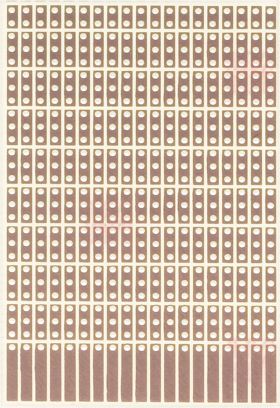 Punkt-Streifenrasterplatine