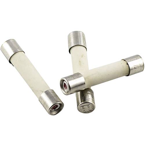 ESKA 527.27 52727 Feinsicherung (Ø x L) 5 mm x 25 mm 10 A 250 V Flink -F- Inhalt 10 St.