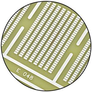 PCBs