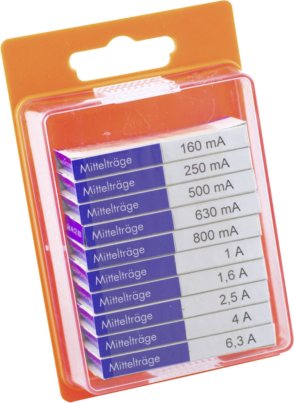 ESKA FUSES Feinsicherung-Sortiment (Ø x L) 5 mm x 20 mm Mittelträge -mT- ESKA 12108 Inhalt 100 St.