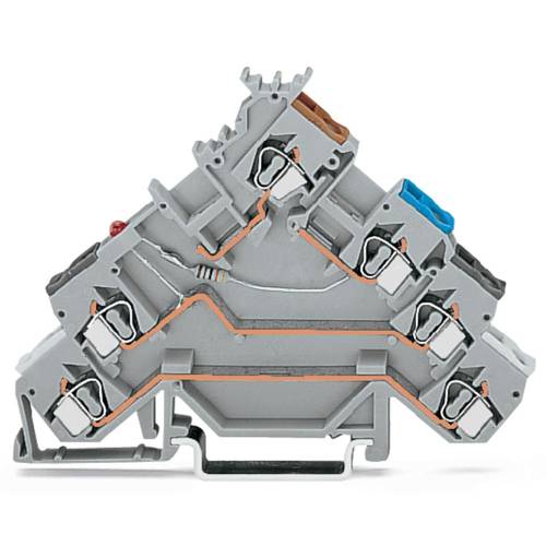WAGO 280-580/281-434 Initiatorenklemme 5 mm Zugfeder Belegung: L Grau 50 St.