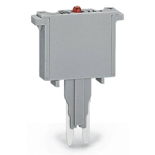 WAGO 280-856/281-413 Sicherungsstecker Grau 100 St.