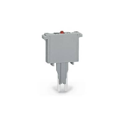 Graue elektrische Sicherung mit sichtbarem roten Indikator auf der Oberseite, verwendet zur Unterbrechung von Stromkreisen bei Überlast.