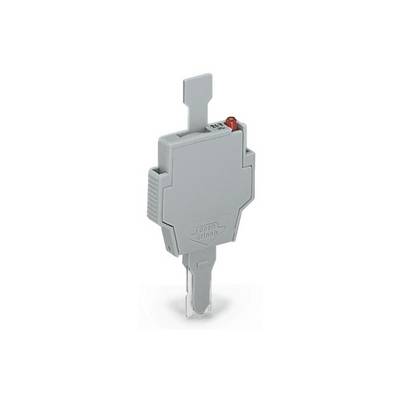 Ein grauer elektrotechnischer Schalter mit rotem Knopf, rechteckig mit Griff, vor weißem Hintergrund.