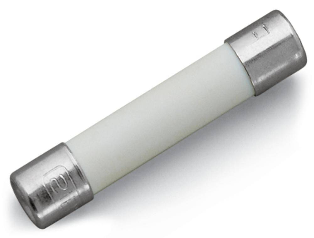 WAGO 282-454 G-Sicherungseinsatz 200 St.