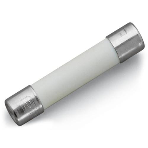 WAGO 282-454 G-Sicherungseinsatz 200 St.