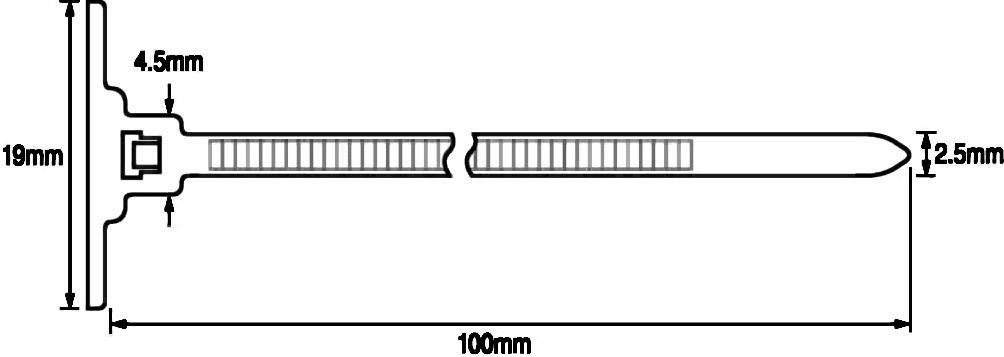 Ein Kabelbinder mit den Abmessungen: 100 mm Länge, 19 mm Breite, 2,5 mm Dicke. An der Spitze 4,5 mm hoch.
