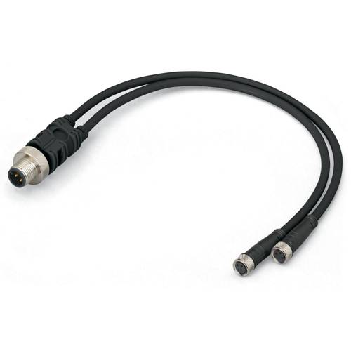 Thumbnail - WAGO 756-5513/040-010 Sensor-/Aktor-Verteiler und Adapter M12 Stecker, gerade, Buchse, gerade, Buchse, gerade 1.00 m 10 ...