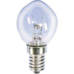 Image of Barthelme 00789510 Kugellampe, Fahrradlampe 14 V 5 W Klar 1 St.