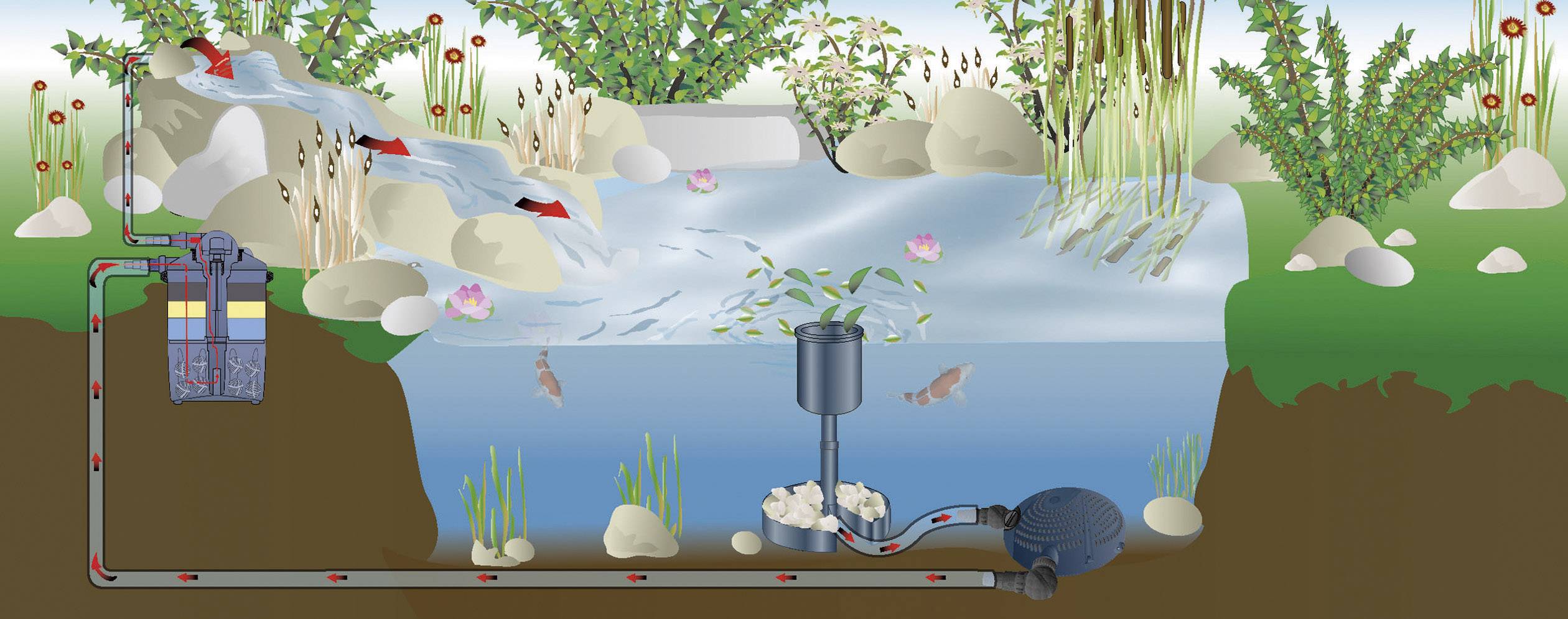 Querschnitt einer Teichanlage: Wasser fließt über Steine, durch einen Filter in den Teich. Pflanzen und Fische im Teich sichtbar.